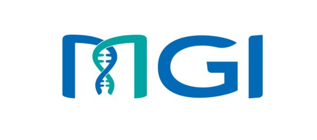 teamimg